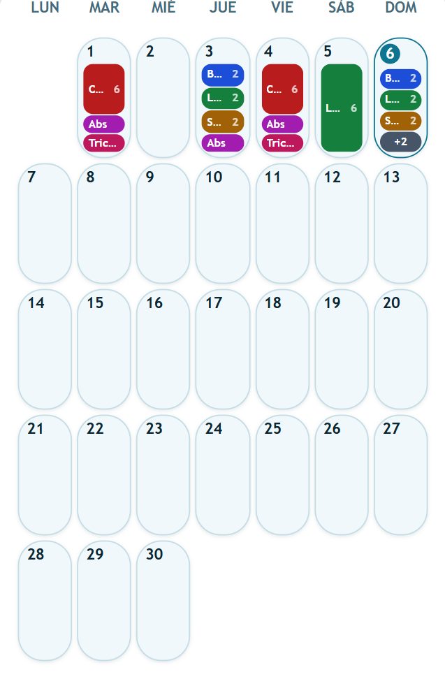 Captura: el calendario del año con los colores de cada grupo muscular.